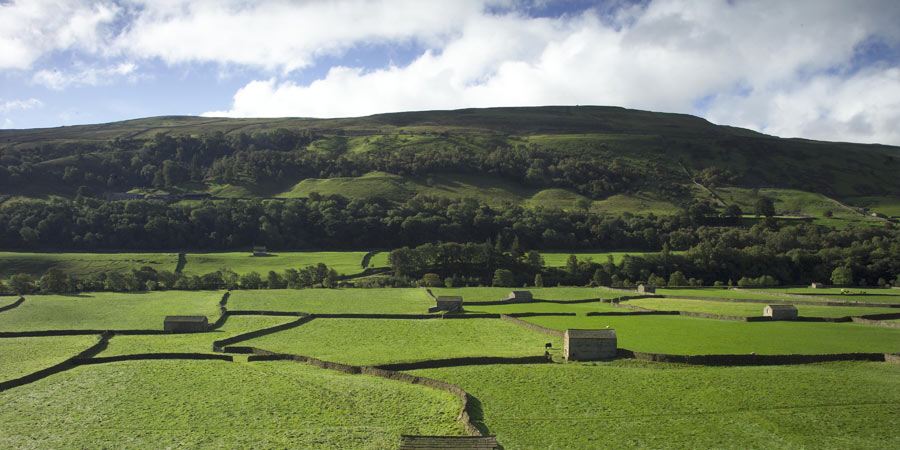 The Yorkshire Dales