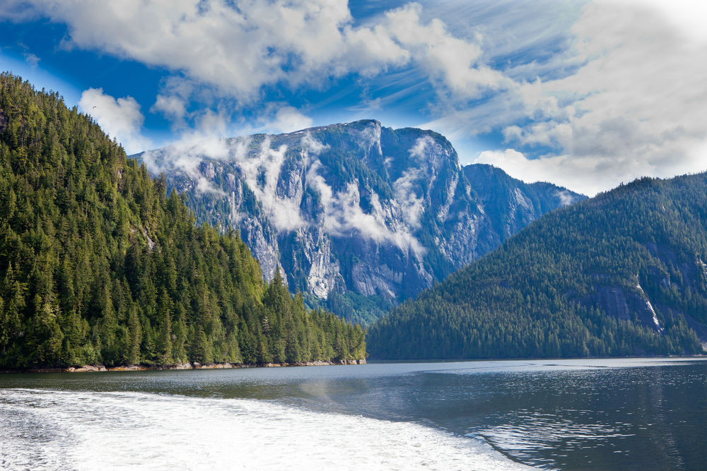 Misty Fjord