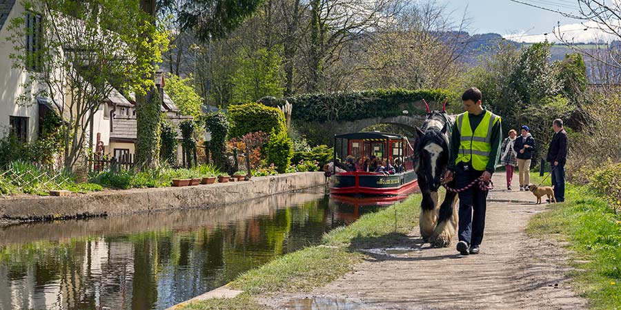 Taking a horse-drawn boat trip along the Llangollen Canal