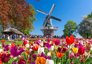 Keukenhof Gardens Keukenhof Gardens