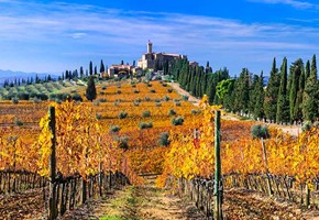 Montalcino & Banfi winery